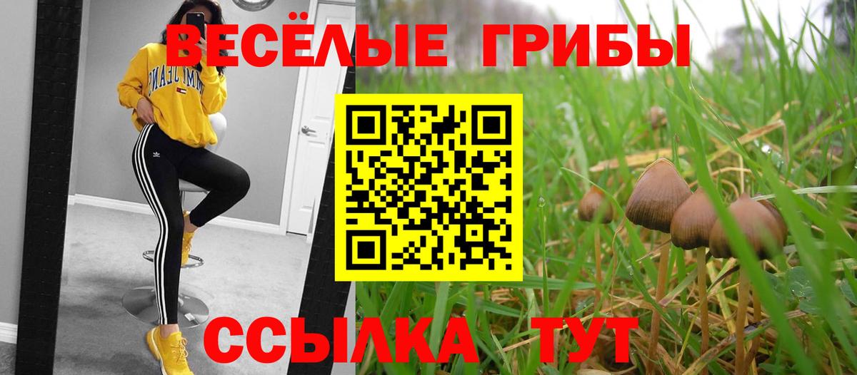 цены наркотик  Псилоцибиновые грибы Psilocybe  Вход с VPN  Галлюциногенные грибы GOLDEN TEACHER  Конаково 